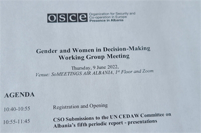 [ai] A printed agenda for the 'Gender and Women in Decision-Making Working Group Meeting' by OSCE, dated June 9, 2022. The agenda outlines a registration and opening period, and a segment for CSO submissions to the UN CEDAW Committee.